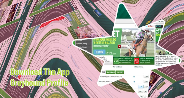 Greyhound results the betting site apk