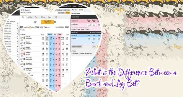 How does back and lay betting work