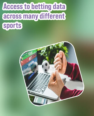 How to make a betting website