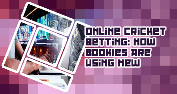 How to make money from cricket betting