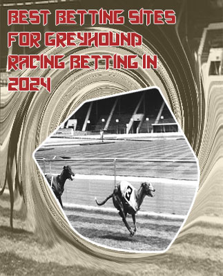 Irish greyhound derby betting site parimatch