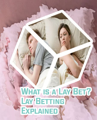 What is the meaning of lay in betting