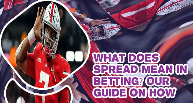 Who's betting on what nfl